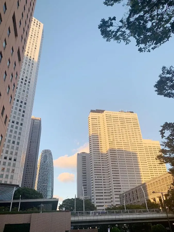 Shinjuku 新宿徒步圈!西新宿!都厅!新宿中央公园!2分钟步行到地铁!精致公寓autolock!106 Tokyo 0*,